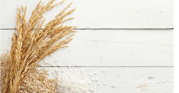 Brown rice nutrition, types and price