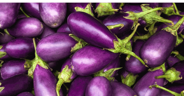Eggplant-nutrition