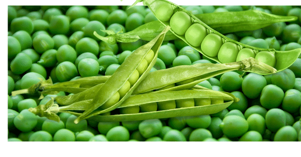 peas-nutrition