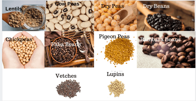 Pulses types, pulses nutrition