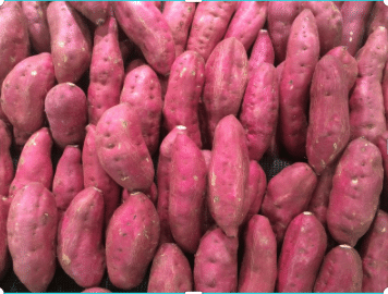 sweet-potatoes-nutrition