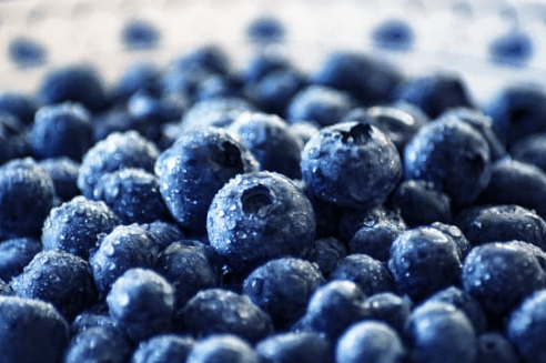 health benefits of blueberry